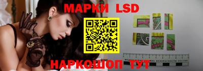 шишки Заводоуковск