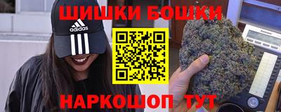 шишки Заводоуковск